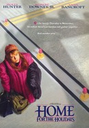 Home for the Holidays poster image