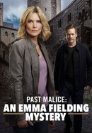 Past Malice: An Emma Fielding Mystery poster image