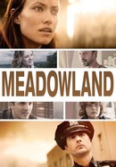 Meadowland poster image