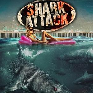"Jersey Shore Shark Attack photo 11"