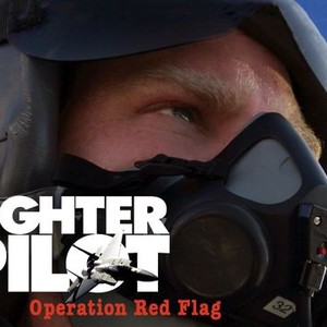 Fighter Pilot: Operation Red Flag photo 5