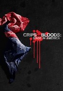 Crips and Bloods: Made in America poster image