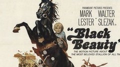 Black Beauty | Rotten Tomatoes