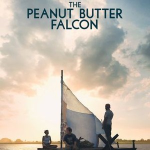 The Peanut Butter Falcon (2019) photo 10
