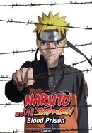 Naruto Shippuden the Movie: Blood Prison poster image