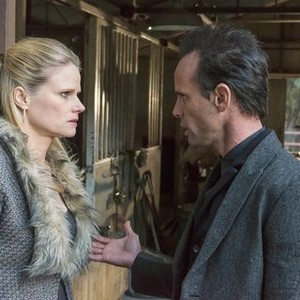 Joelle Carter - Rotten Tomatoes