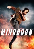 Mindhorn poster image