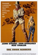 The Train Robbers poster image