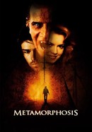 Metamorphosis poster image