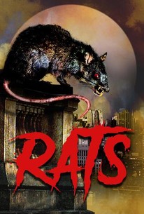 Rats | Rotten Tomatoes