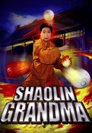 Shaolin Grandma poster image