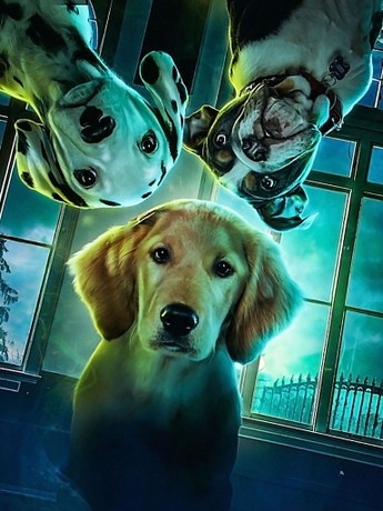 Phantom Pups: Season 1, Episode 4 | Rotten Tomatoes