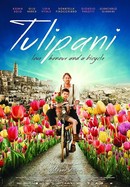 Tulipani: Love, Honour and a Bicycle poster image