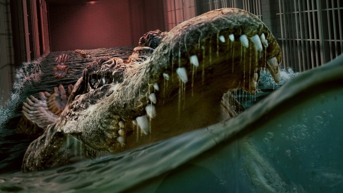 The Flood (2023) | Rotten Tomatoes