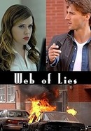 Web of Lies poster image