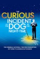 National Theatre Live: The Curious Incident Of The Dog In The Night-Time