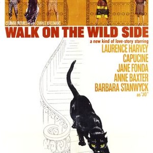 Walk on the Wild Side (1962) photo 9