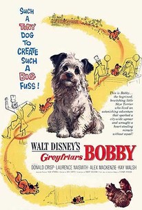 Greyfriars Bobby poster