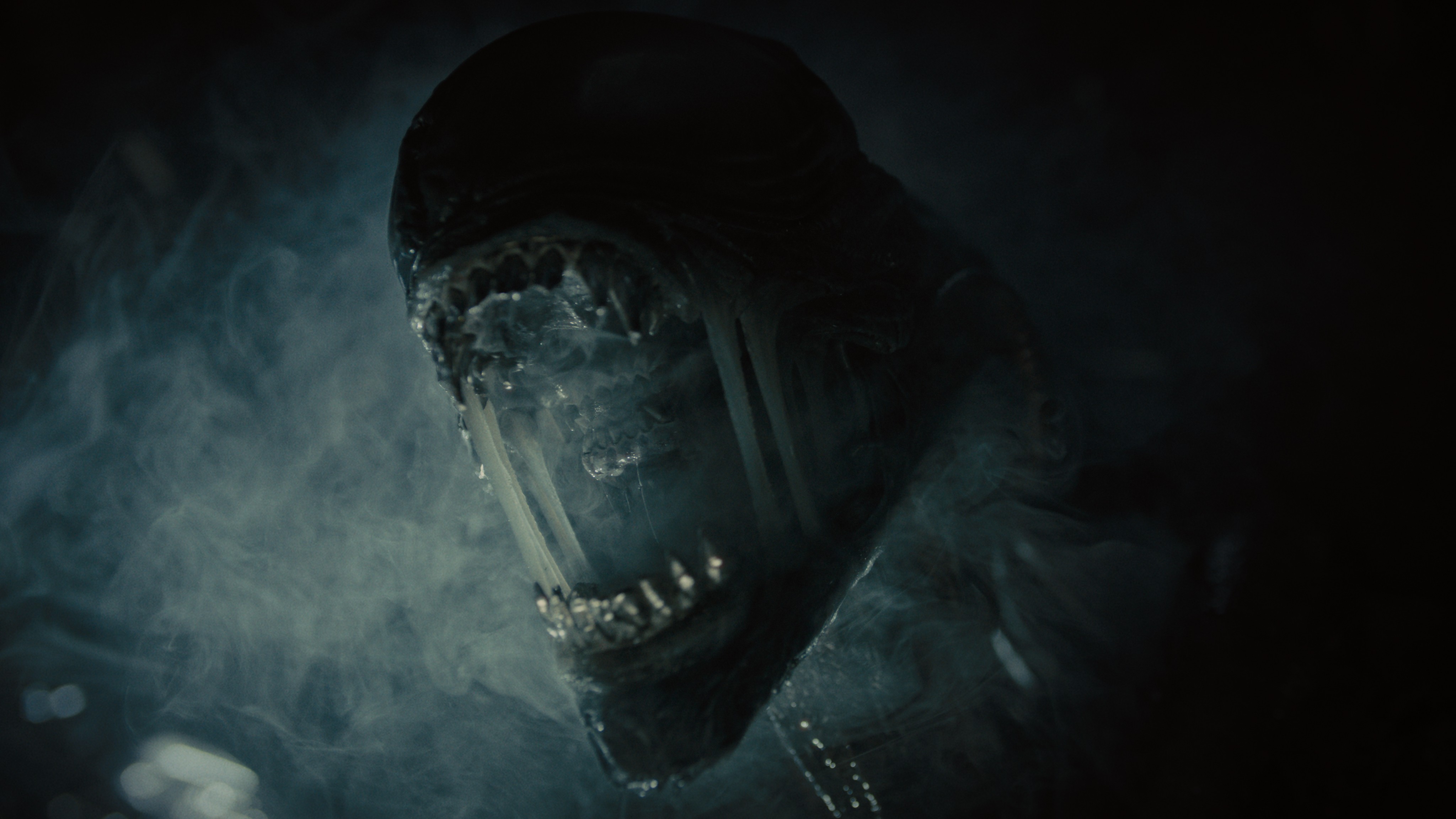 Alien: Romulus кадр