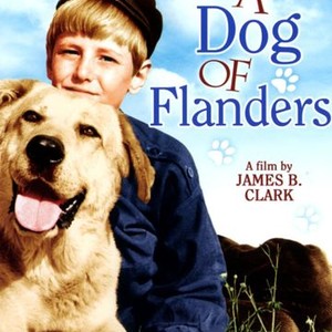 A Dog of Flanders (1959)