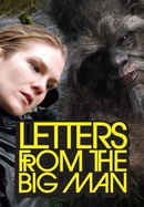 Letters From the Big Man poster image