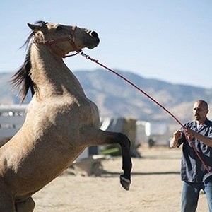 A scene from "Mustang." photo 15