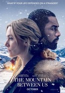 The Mountain Between Us poster image