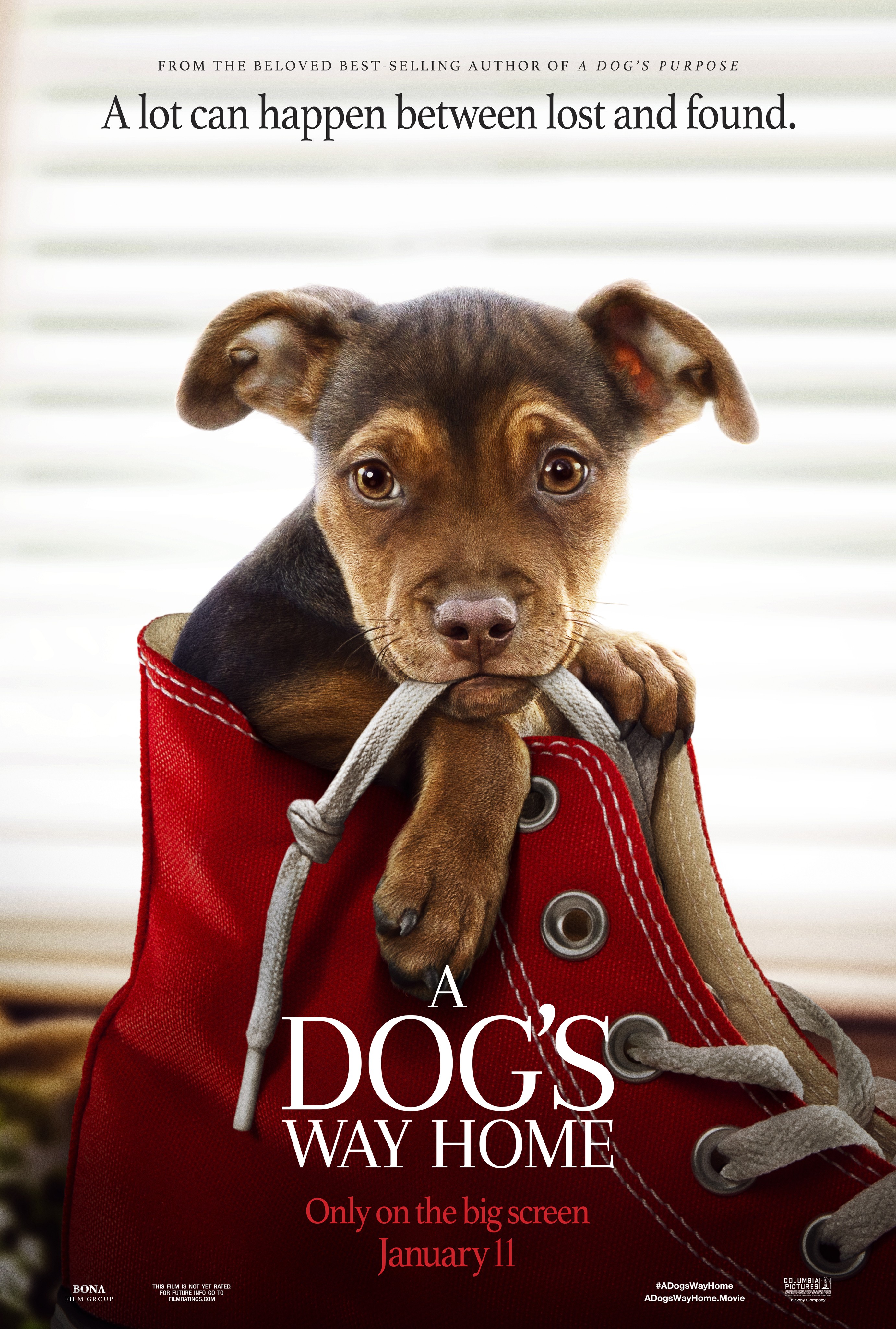 A dog's deals purpose full movie