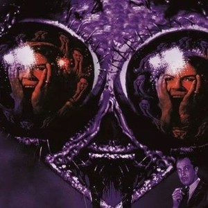 The Fly photo 5