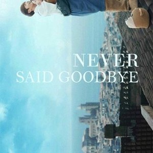 Never Said Goodbye Rotten Tomatoes