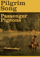 Pilgrim Song poster image