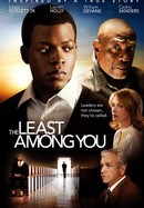 The Least Among You poster image