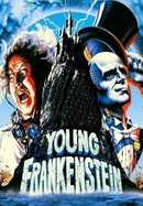 Young Frankenstein poster image