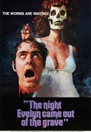 The Night Evelyn Came Out of the Grave poster image