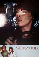 Silkwood poster image