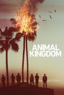 Animal Kingdom S1 (2016) Subtitle Indonesia