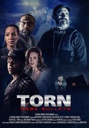 Torn: Dark Bullets poster image