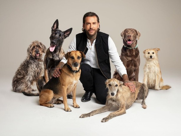 Pete Wicks: For Dogs' Sake: Season 2 | Rotten Tomatoes