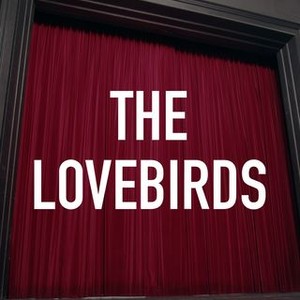 The Lovebirds photo 3