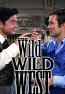 The Wild, Wild West poster image