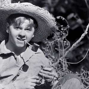The Adventures of Huckleberry Finn (1939) photo 3