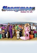 Honeymoon Travels Pvt. Ltd. poster image