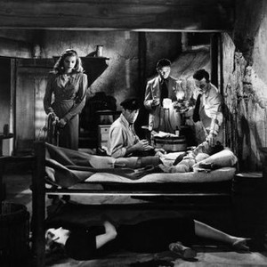 TO HAVE AND HAVE NOT, Dolores Moran (on floor), Lauren Bacall, Humphrey Bogart, Marcel Dalio, Walter Molnar (in bed), 1944