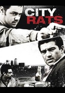 City Rats poster image