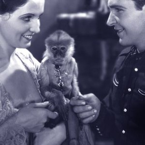 Young Blood (1932) photo 8