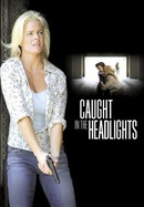 Caught in the Headlights poster image
