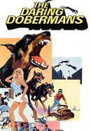 The Daring Dobermans poster image