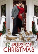 12 Pups of Christmas poster image