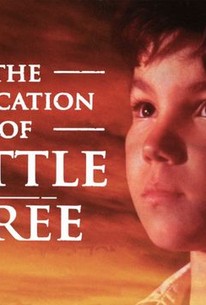 The Education Of Little Tree 1997 Rotten Tomatoes   P20361 V H9 Aa 