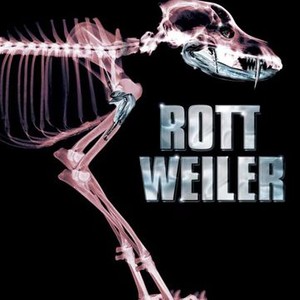 "Rottweiler photo 10"
